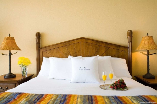 Hotel DoubleTree Beach Resort by Hilton Tampa Bay - North Redingto